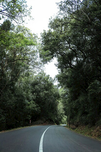 公路景观