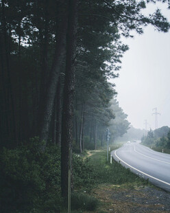 道路