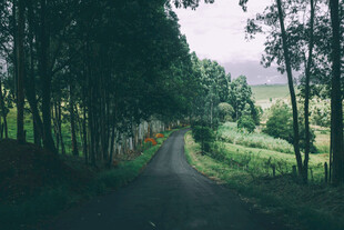 公路景观