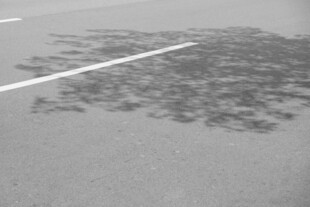 道路