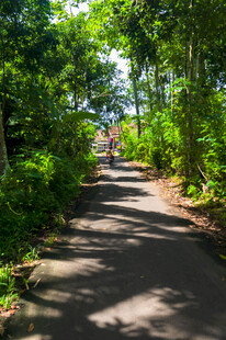 公路
