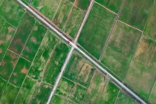 道路