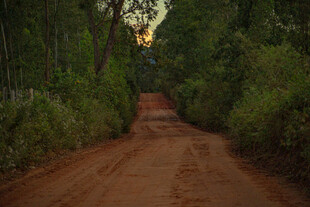 道路