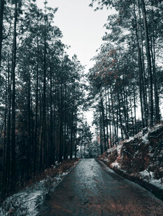 道路