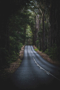 公路