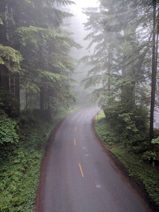 道路