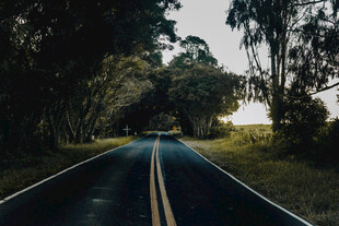 公路景观