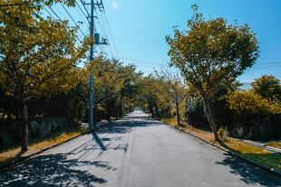 公路