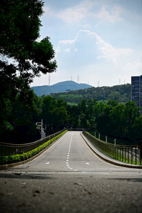 道路