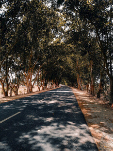 公路