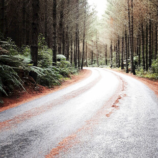 公路