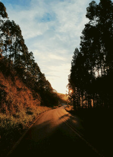 公路