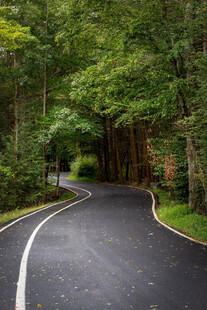 道路