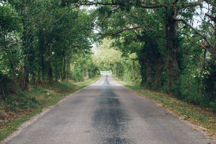 公路景观