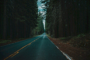 道路