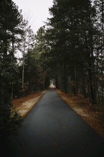 公路景观