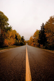 公路景观