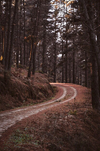 公路景观