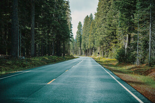 公路景观