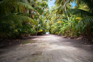 公路景观