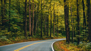 公路景观