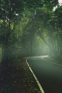 公路景观