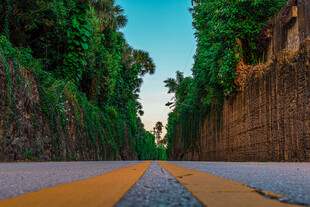 道路