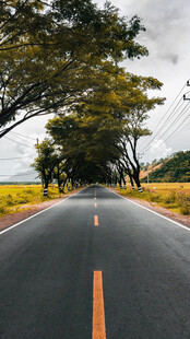 公路景观