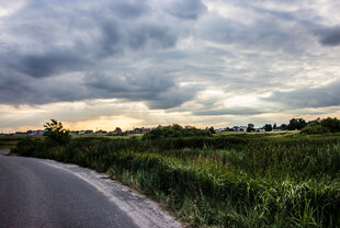 道路
