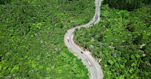 道路
