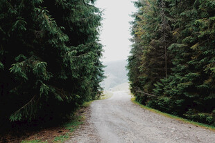 公路