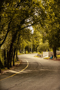 公路景观