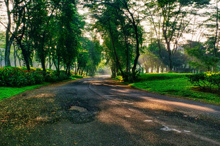 公路