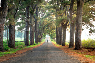 公路