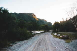 道路