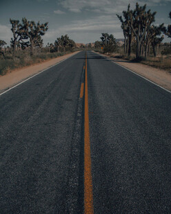 公路景观