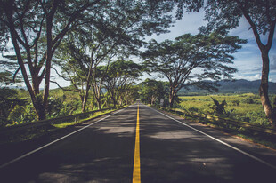 道路