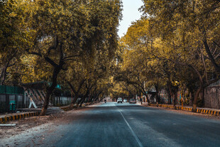 公路景观