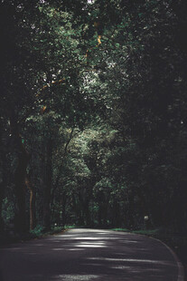 公路