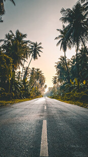 公路景观