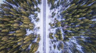 道路