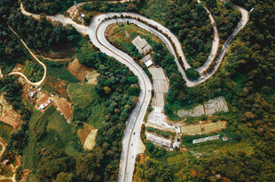 道路
