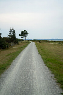 道路