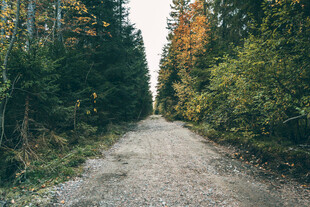 公路景观
