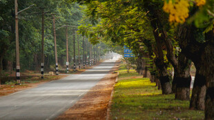 公路景观