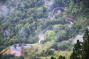 道路