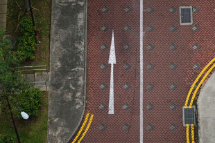 道路