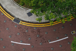 道路