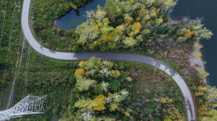 道路