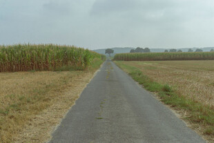 公路